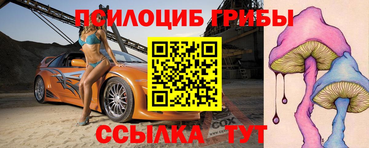 Галлюциногенные грибы Magic Shrooms Кашира