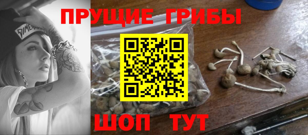 Псилоцибиновые грибы Psilocybine cubensis  Псилоцибиновые грибы мухоморы  сколько стоит  Кашира  Вход с VPN 